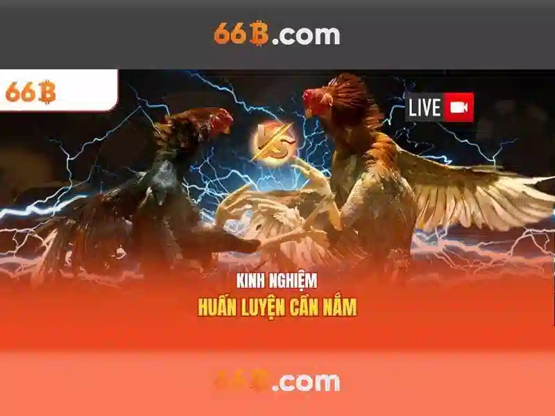 Hiệu suất và so sánh