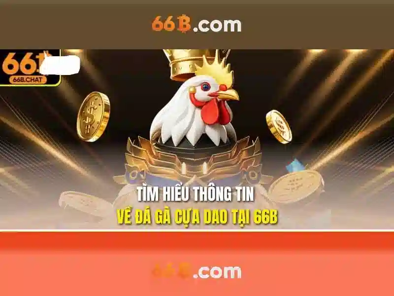 Function keo the thao 66b