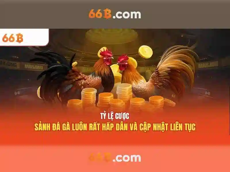 66b-platform-safety