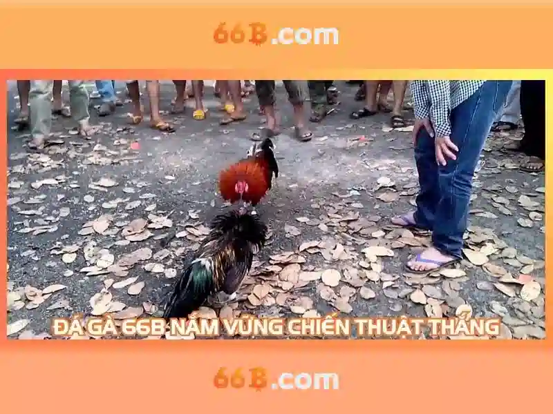 66b: một cái nhìn tổng quan về công nghệ và ảnh hưởng Giao diện nhà cái hoàn hảo