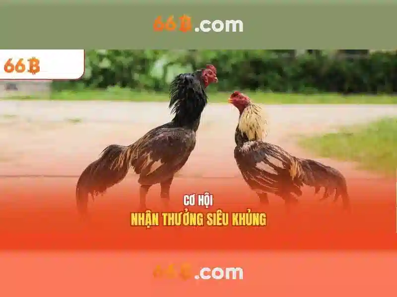 Ứng dụng và trường hợp sử dụng