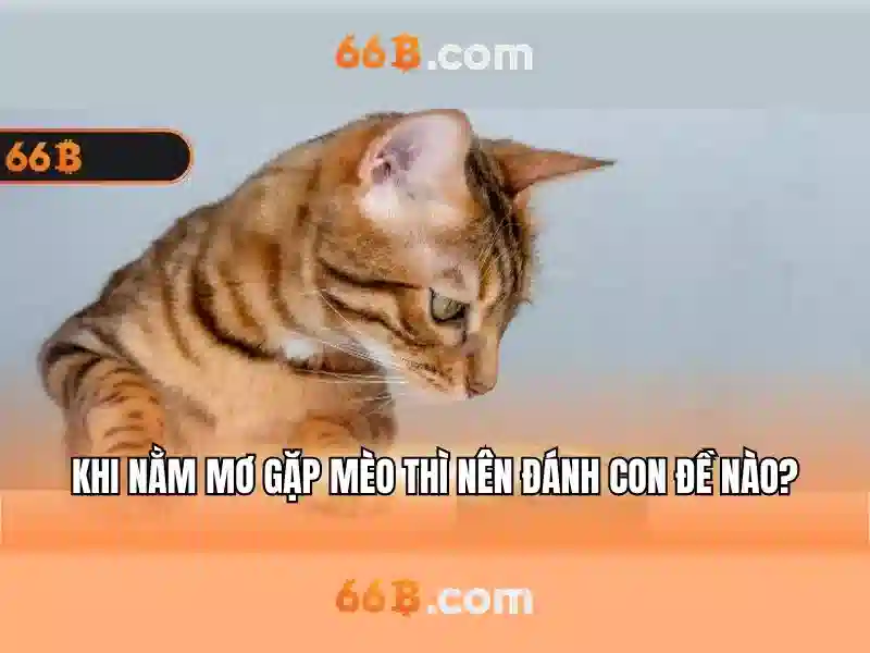 66B và cuộc cách mạng của mô hình ngôn ngữ