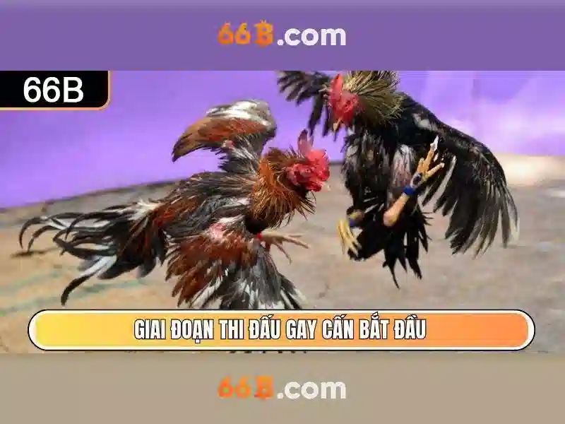 Ứng dụng và hiệu quả trong thực tế