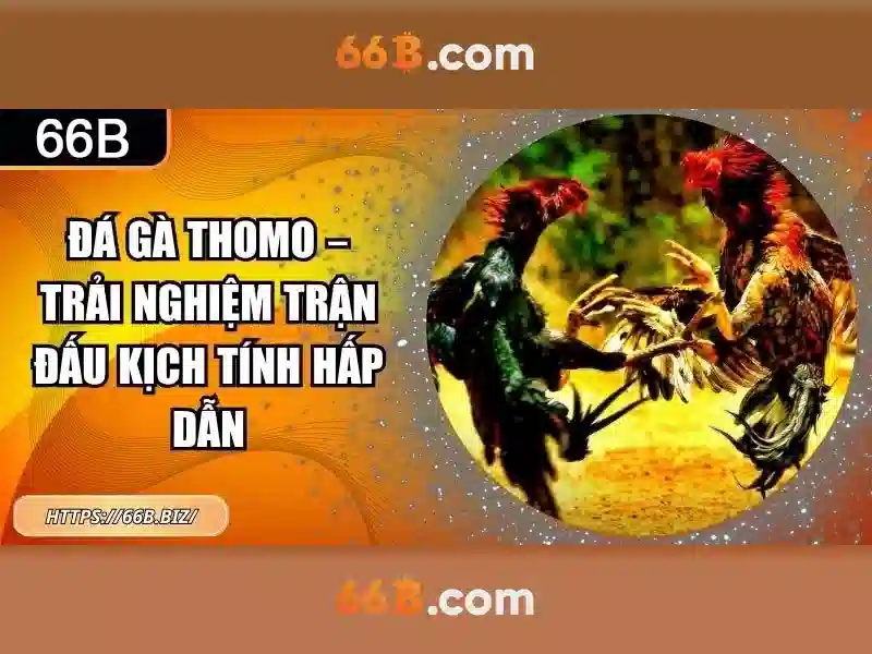 Nguồn gốc và ý nghĩa của 66b