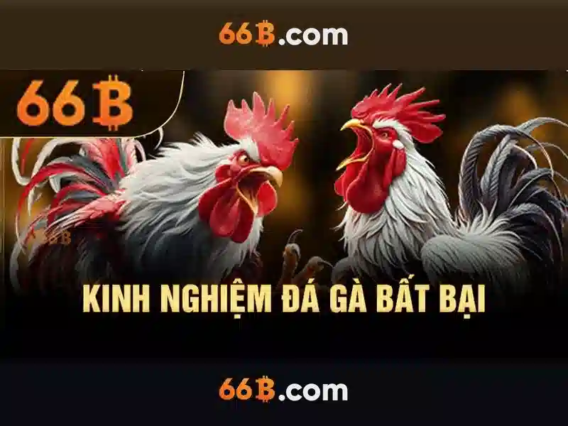 So sánh với các mô hình khác