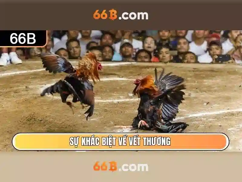 Giao diện nhà cái hoàn hảo