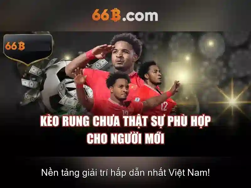 Thách thức và hạn chế của 66B