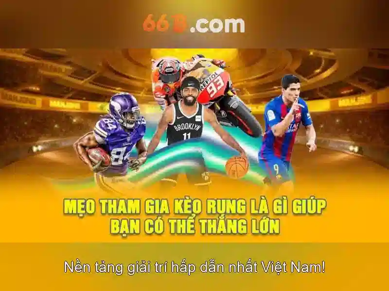 Tối ưu hóa trải nghiệm người dùng