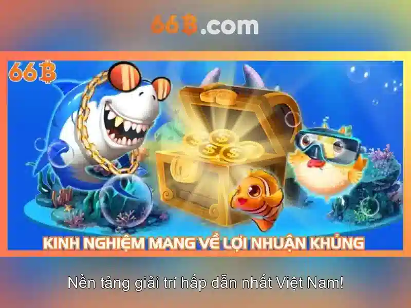 66b là gì?