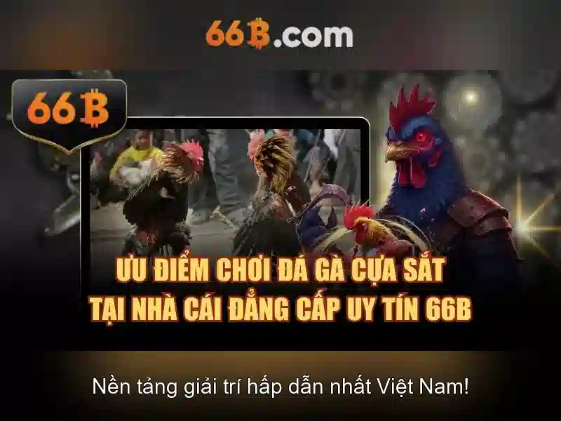 Giao diện nhà cái hoàn hảo