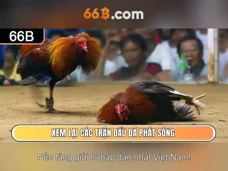 66B: Phương thức hoạt động và ưu điểm