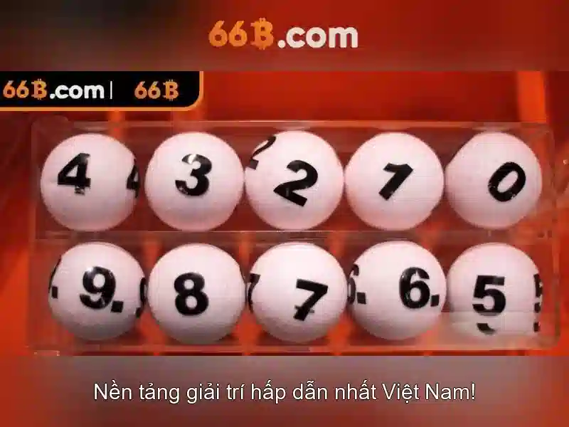 Cấu hình và quy mô