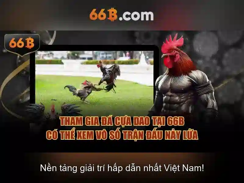 Kiến trúc và đặc điểm