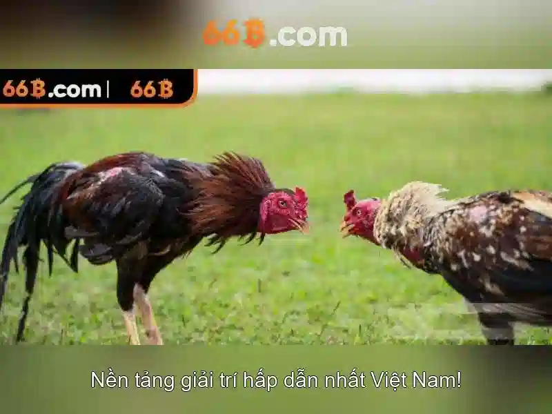 66B: Mô hình ngôn ngữ 66B và ảnh hưởng của nó Giao diện nhà cái hoàn hảo
