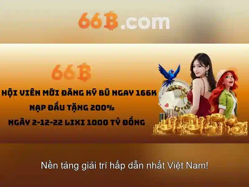 66b là gì?