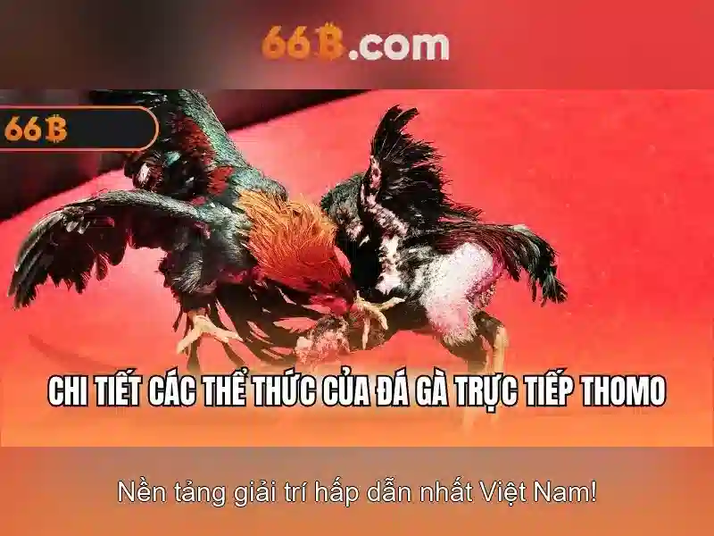Giao diện nhà cái hoàn hảo
