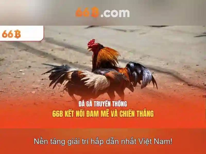 Hướng phát triển và tương lai