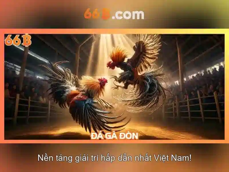 Cân nhắc khi sử dụng