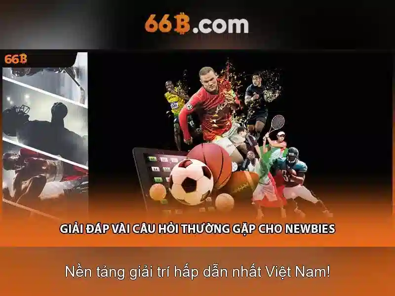 66b là gì?