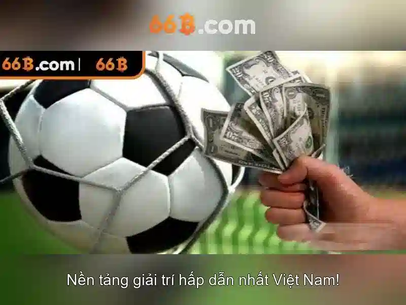 Tiêu chuẩn và tương lai của 66b