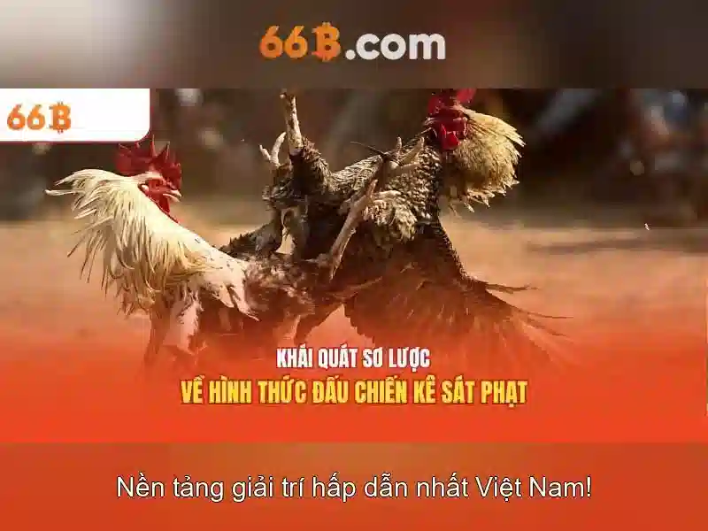 66B là gì?