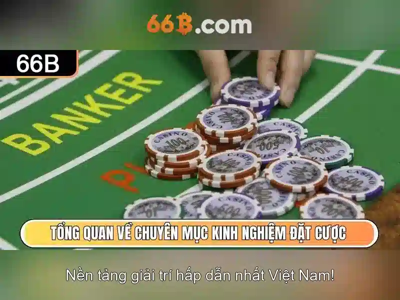 Giao diện nhà cái hoàn hảo