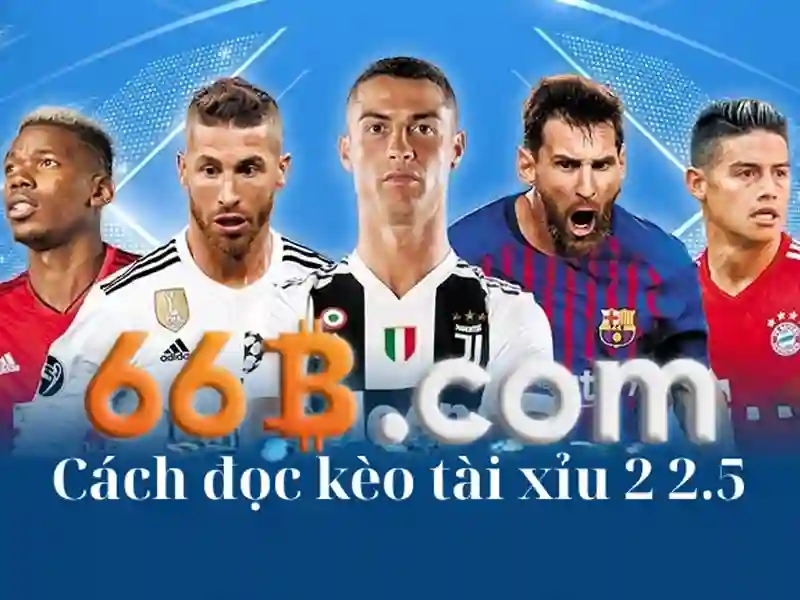 Giao diện nhà cái hoàn hảo