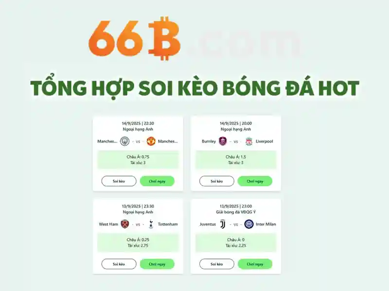 66B là gì và tại sao nó nổi bật Giao diện nhà cái hoàn hảo