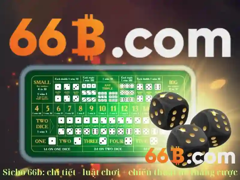 '66B là gì'